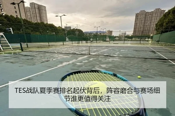 TES战队夏季赛排名起伏背后，阵容磨合与赛场细节谁更值得关注